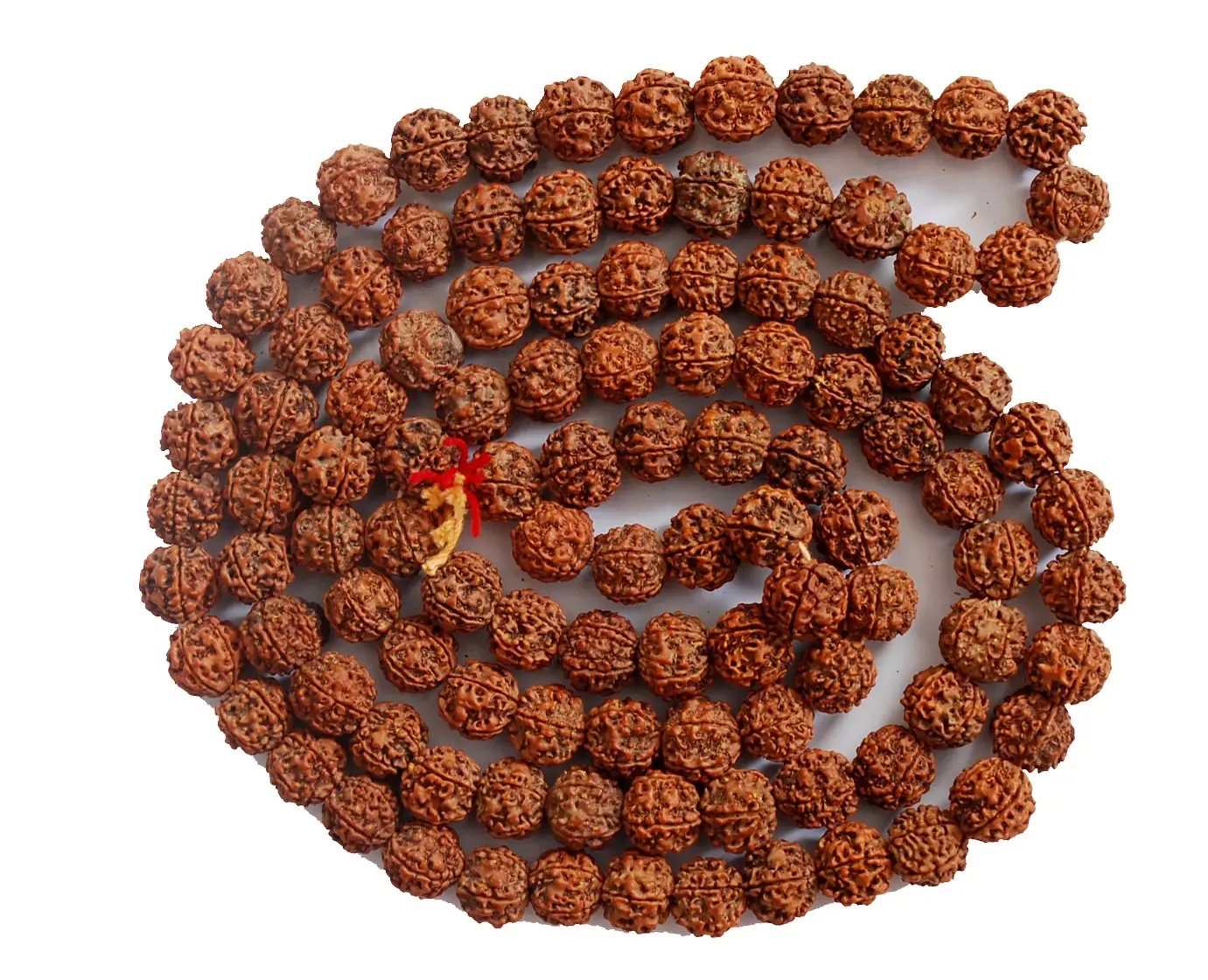 Rudraksha